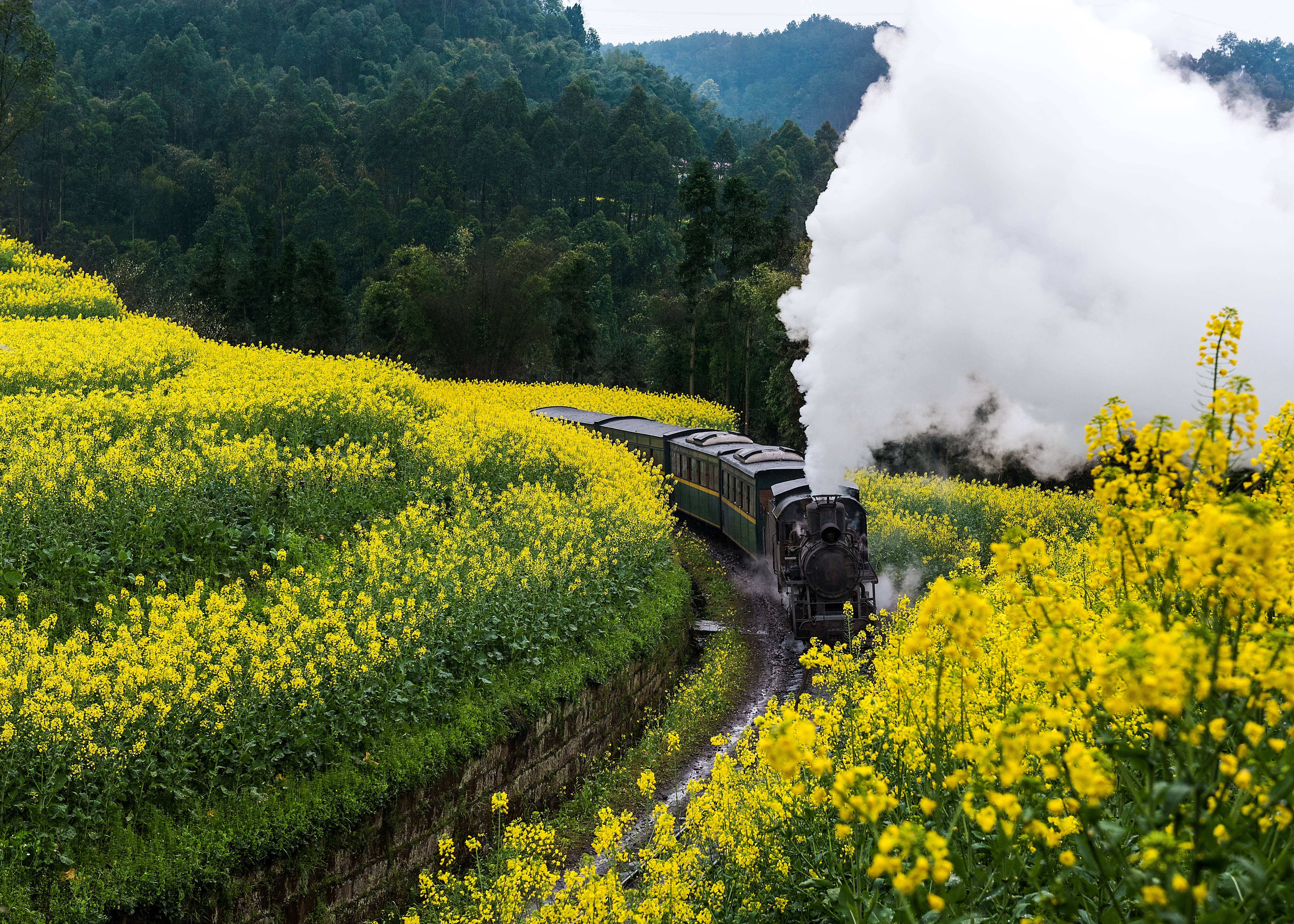 8D6N Floral Peaks of Sichuan · Timeless JiaYang