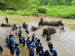 5D4N CHIANGMAI / CHIANGRAI TOUR