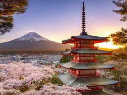 7D4N OSAKA / KYOTO / YAMANASHI / TOKYO