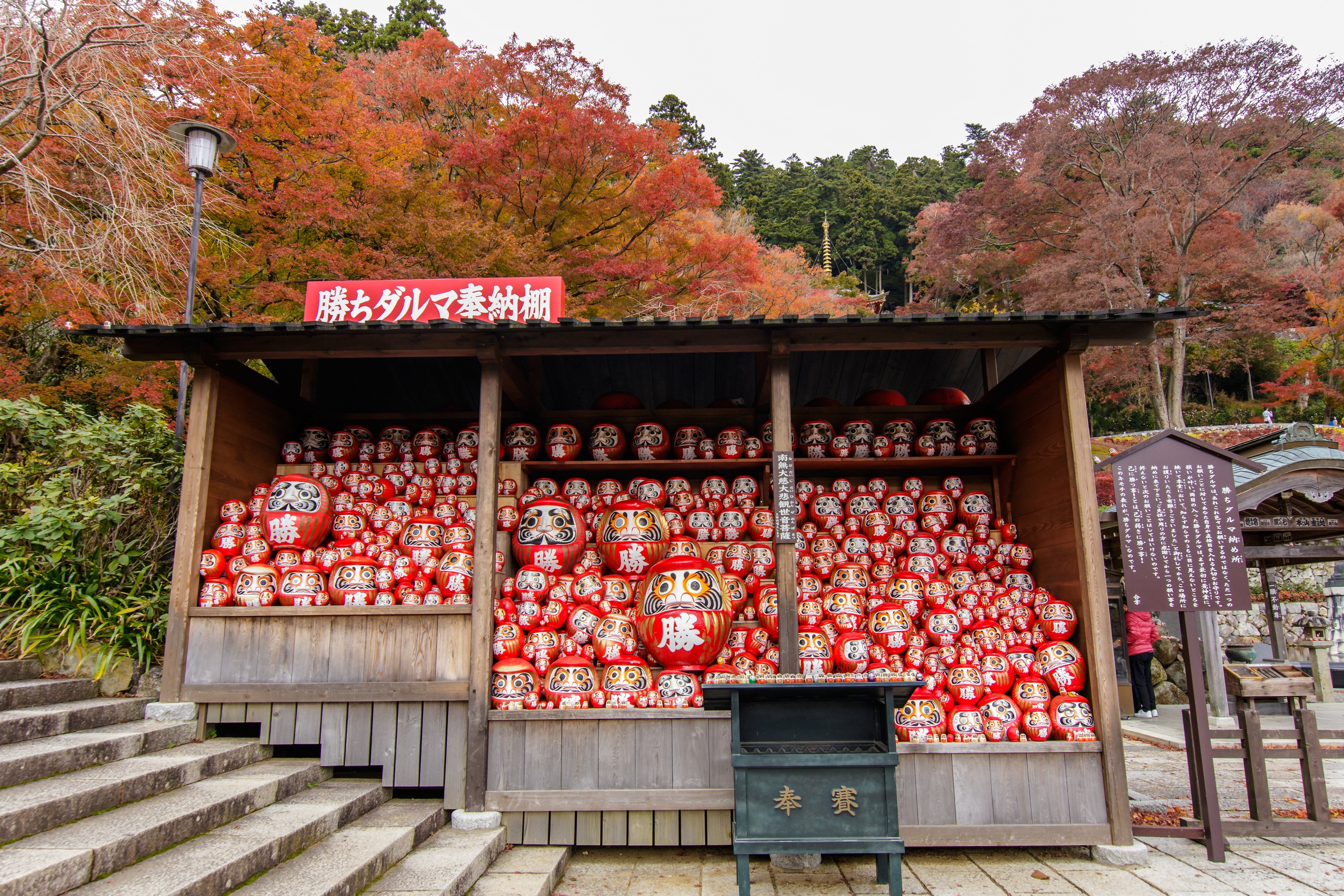 6D5N TOKYO / MT. FUJI / HAKONE / HAMAMATSU / KYOTO / OSAKA