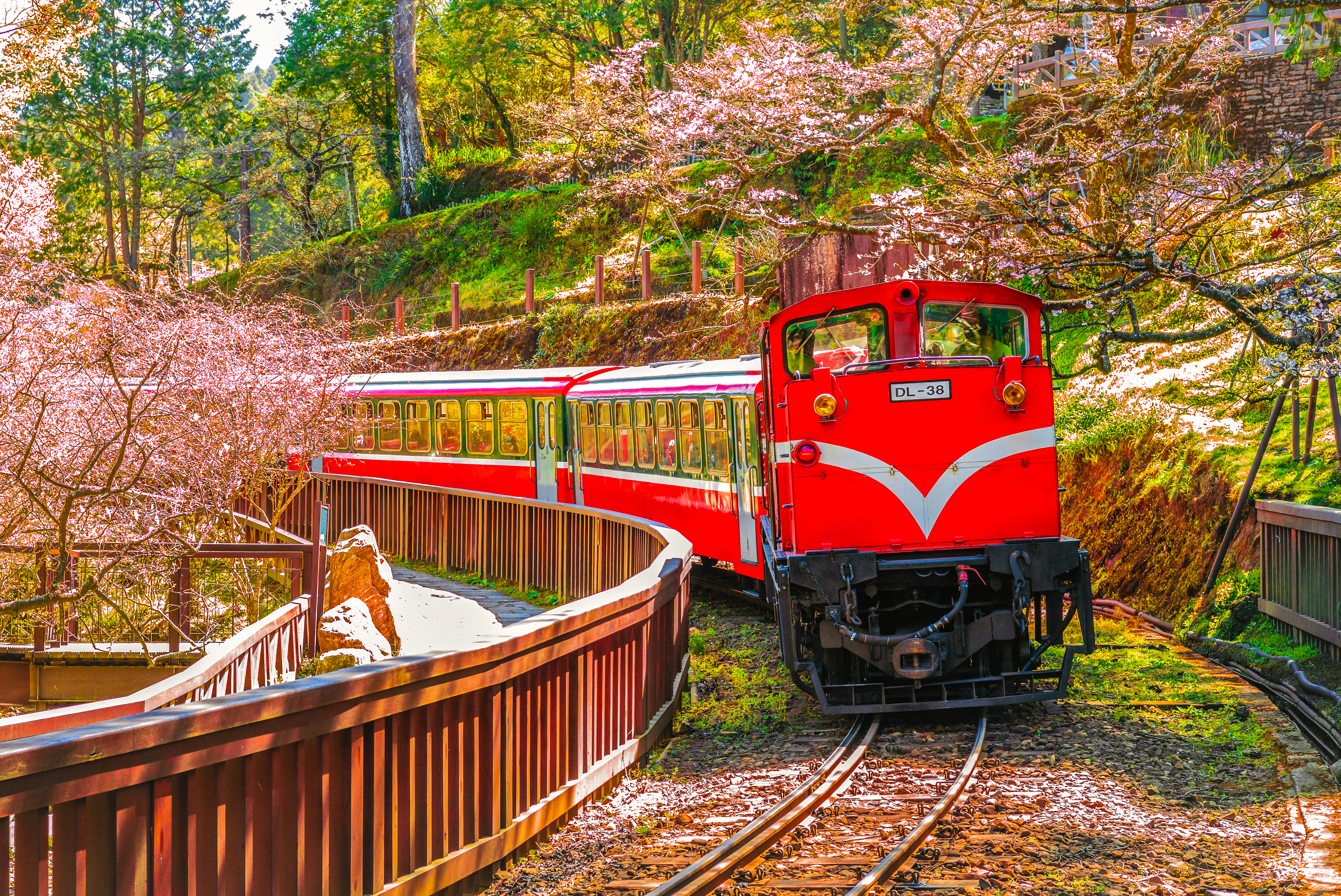 5D4N TAIPEI / TAICHUNG / CHIAYI + ALISHAN FOREST RAILWAY