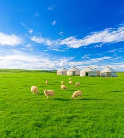 9D7N Beijing Elegance & Mongolian Charm: A Dual-City Journey Through Beijing and Inner Mongolia (Beijing / Hohhot / Xilamuren Grassland / Ordos)