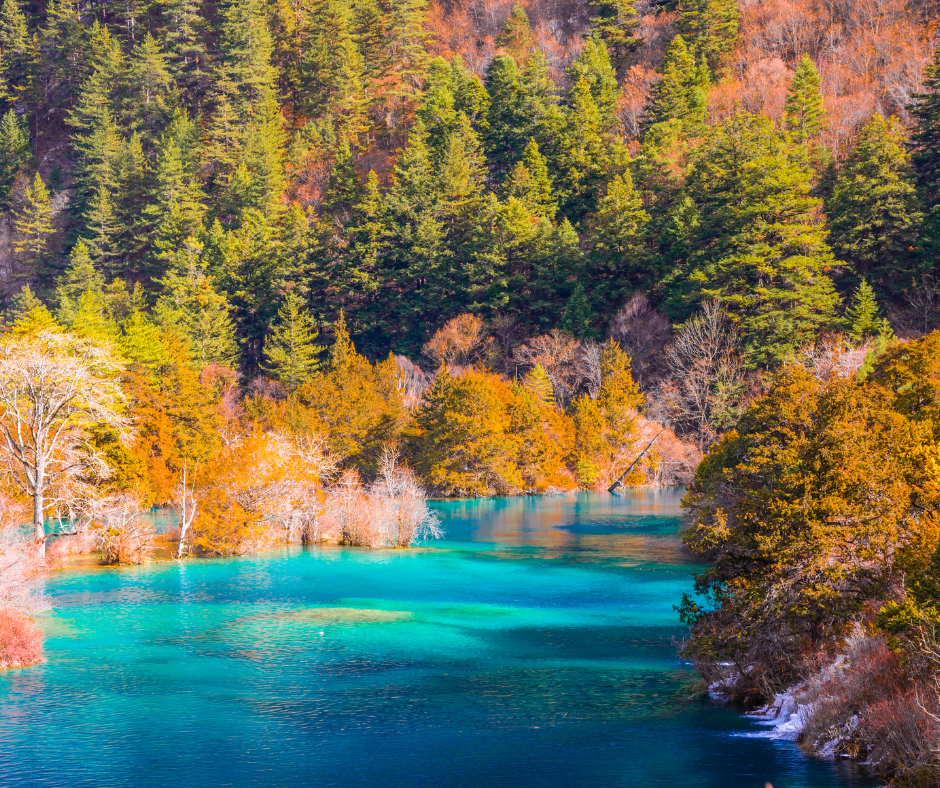 9D7N JIUZHAIGOU / CHENGDU / CHONGQING