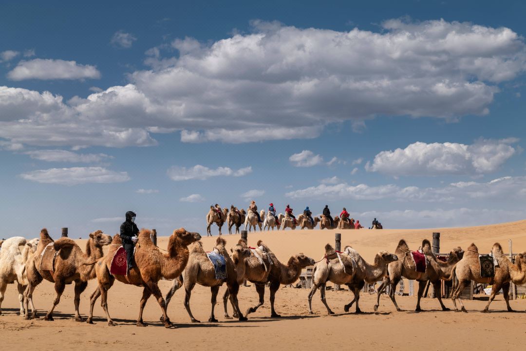 9D7N INNER MONGOLIA – ORDOS/ LAONIUWAN GRAND CANYON/ XIANGSHA BAY/ HUITENGXILE GRASSLAND/ WULANHADA VOLCANO