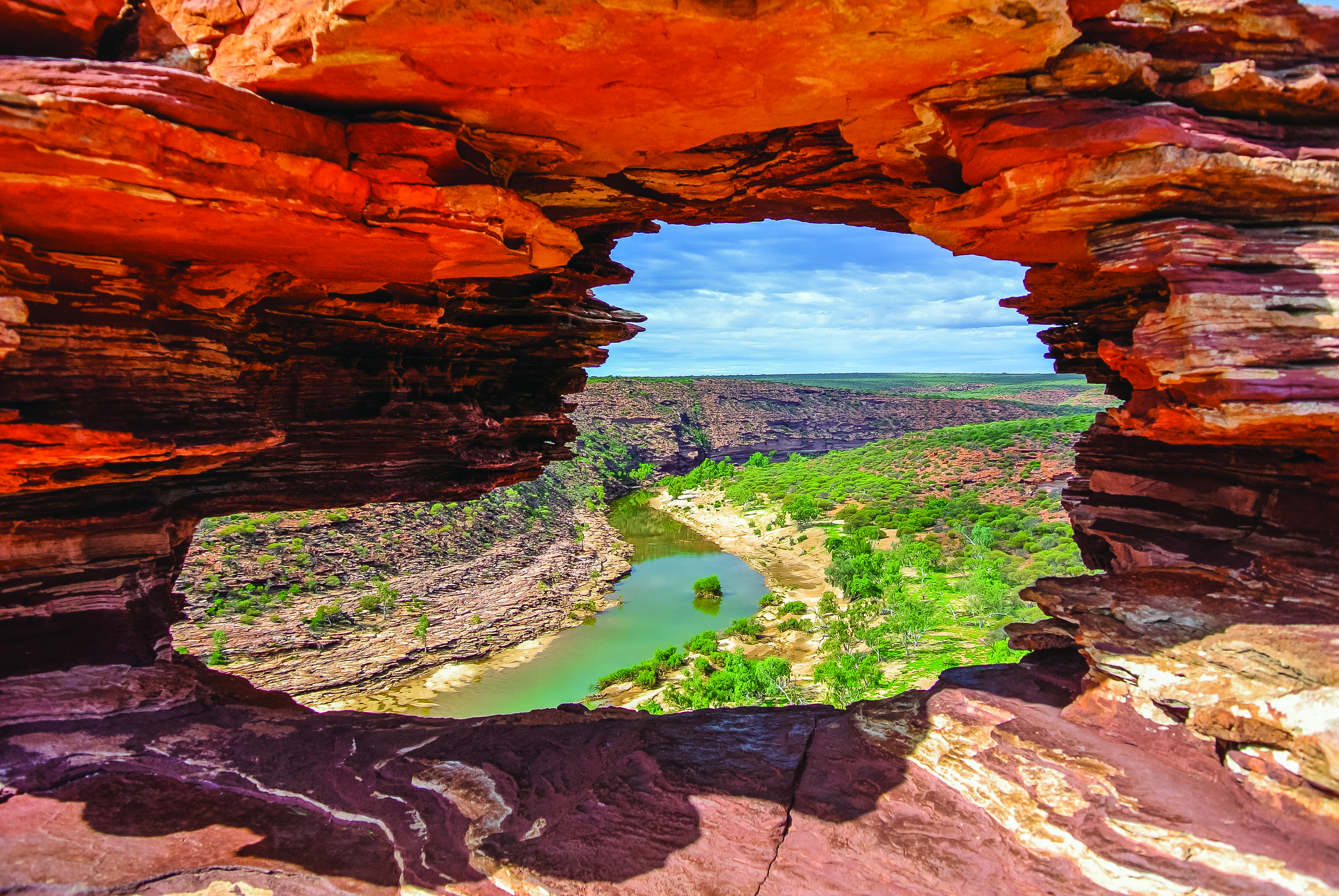 cover-image