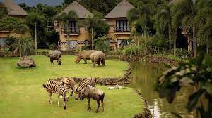 5D4N BALI + 1 NIGHT STAY IN SAFARI PARK (BREAKFAST WITH LION)
