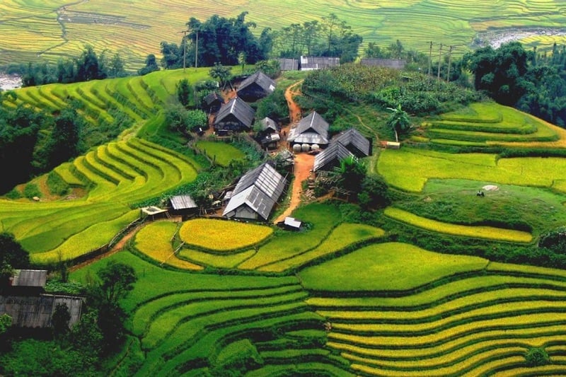 5H4M Hanoi + Sapa + Mt. Fansipan + Halong Bay