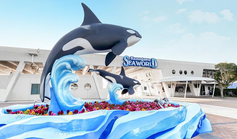 7D5N TOKYO/KAMAKURA/CHIBA + TOKYO DISNEYSEA + KAMOGAWA SEAWORLD + 1 FREE DAY