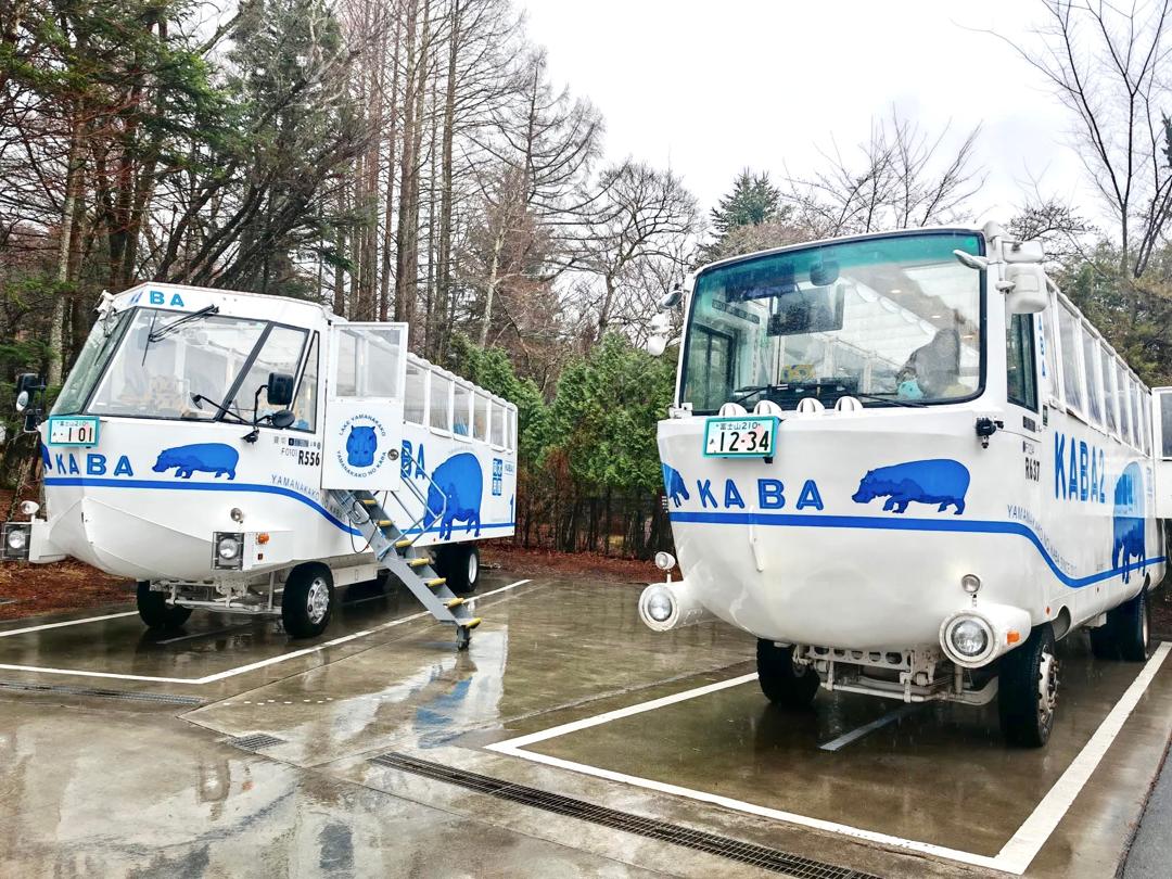 7D5N TOKYO/MT.FUJI/HAKONE/KAWAGOE