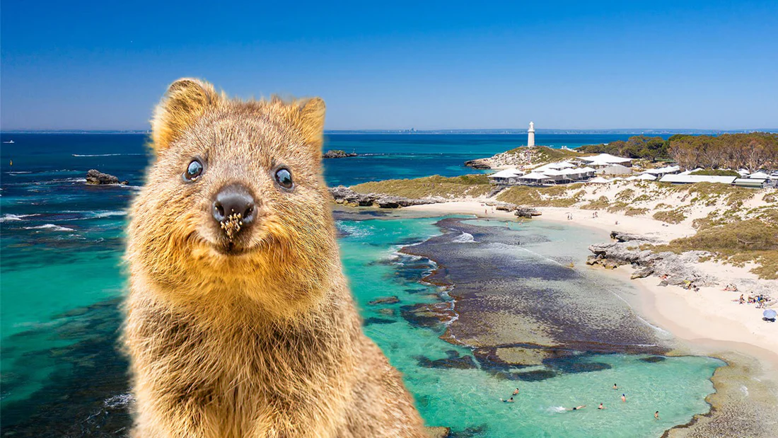 7D5N WESTERN AUSTRALIA HIGHLIGHT TOUR PERTH / SWAN VALLEY / ROTTNEST ISLAND / MANDURAH / FREMANTLE / LANCELIN & PINNACLES