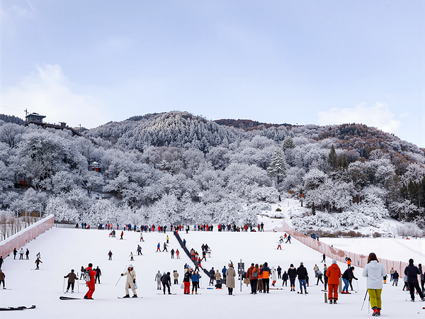 8D6N SKI IN CHONGQING/JINFO MOUNTAIN/FAIRY MOUNTAIN