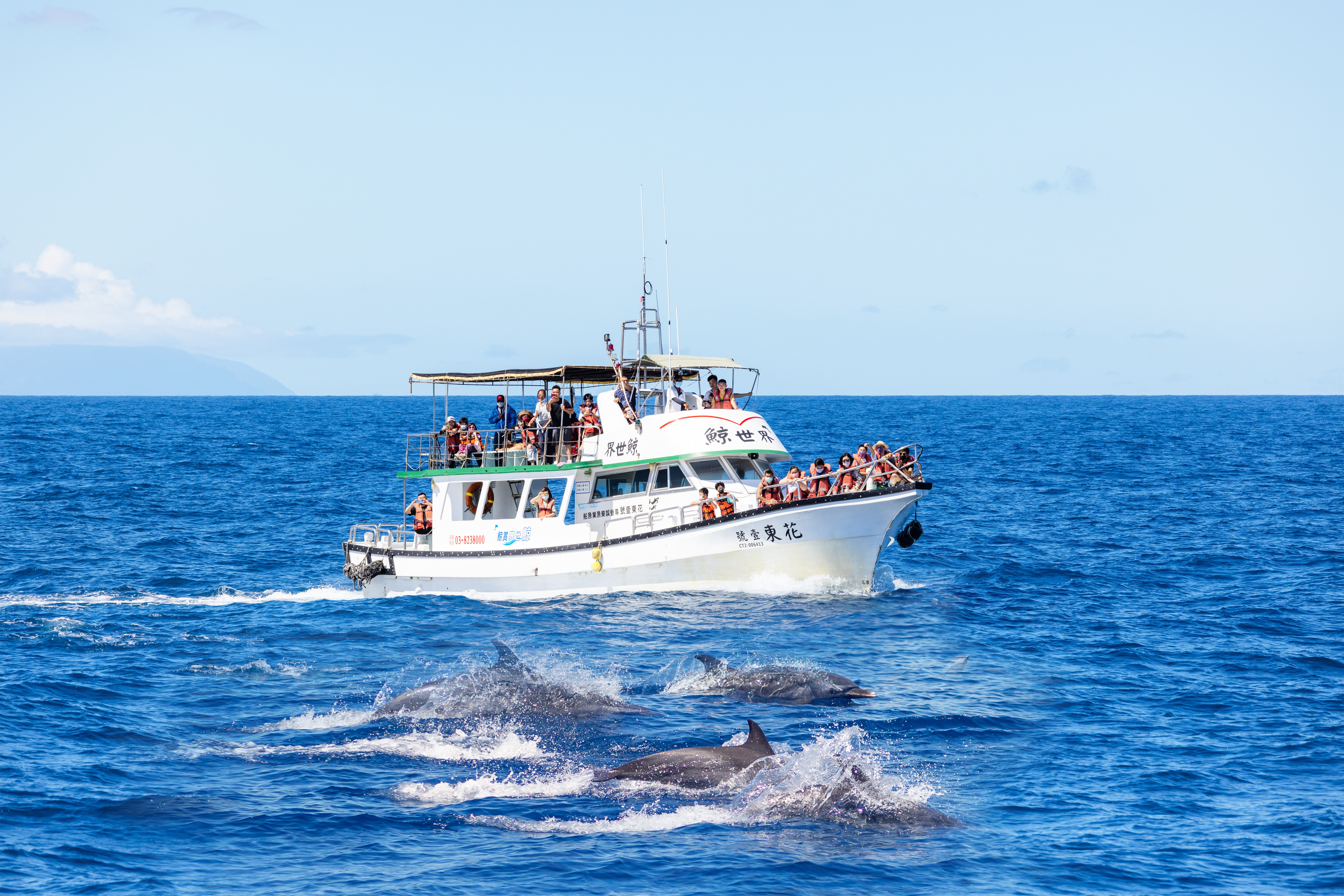 7D6N HUALIEN - KAOHSIUNG - TAINAN - TAICHUNG - TAIPEI - ENCHANTED ISLAND & WHALE WATCHING JOURNEY