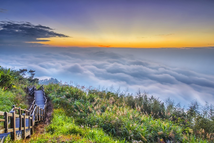 8D6N TAOYUAN/CHANGHUA/CHIAYI/TAICHUNG/HSINCHU/TAIPEI (ALISHAN SUNRISE + SEA OF CLOUDS)