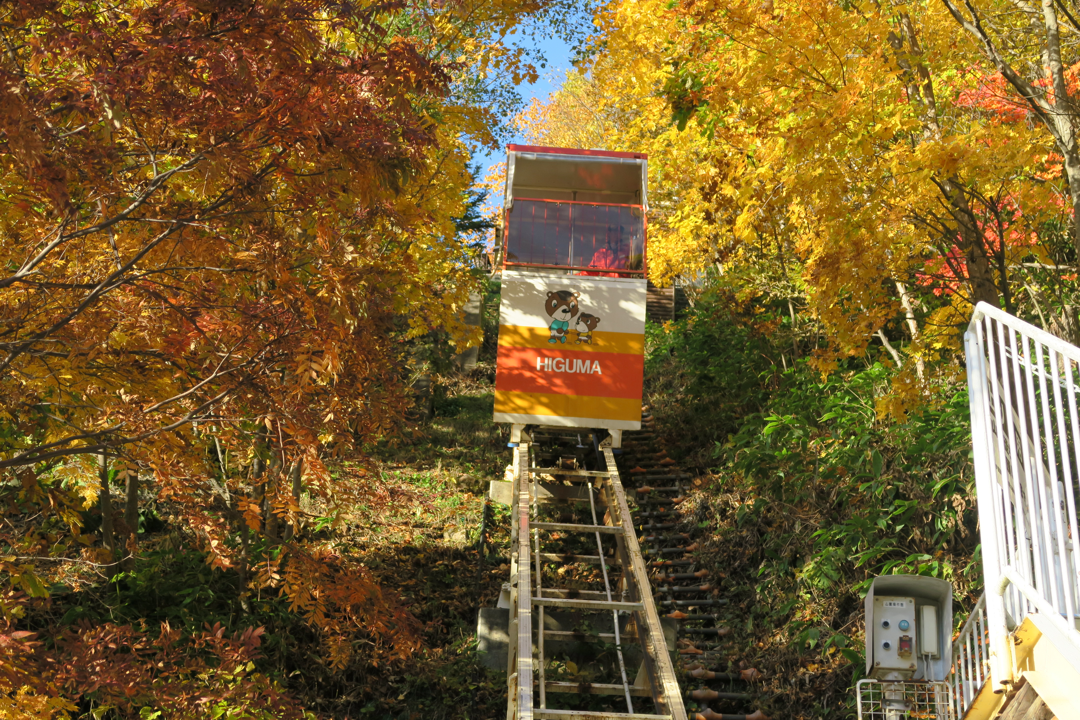 cover-image