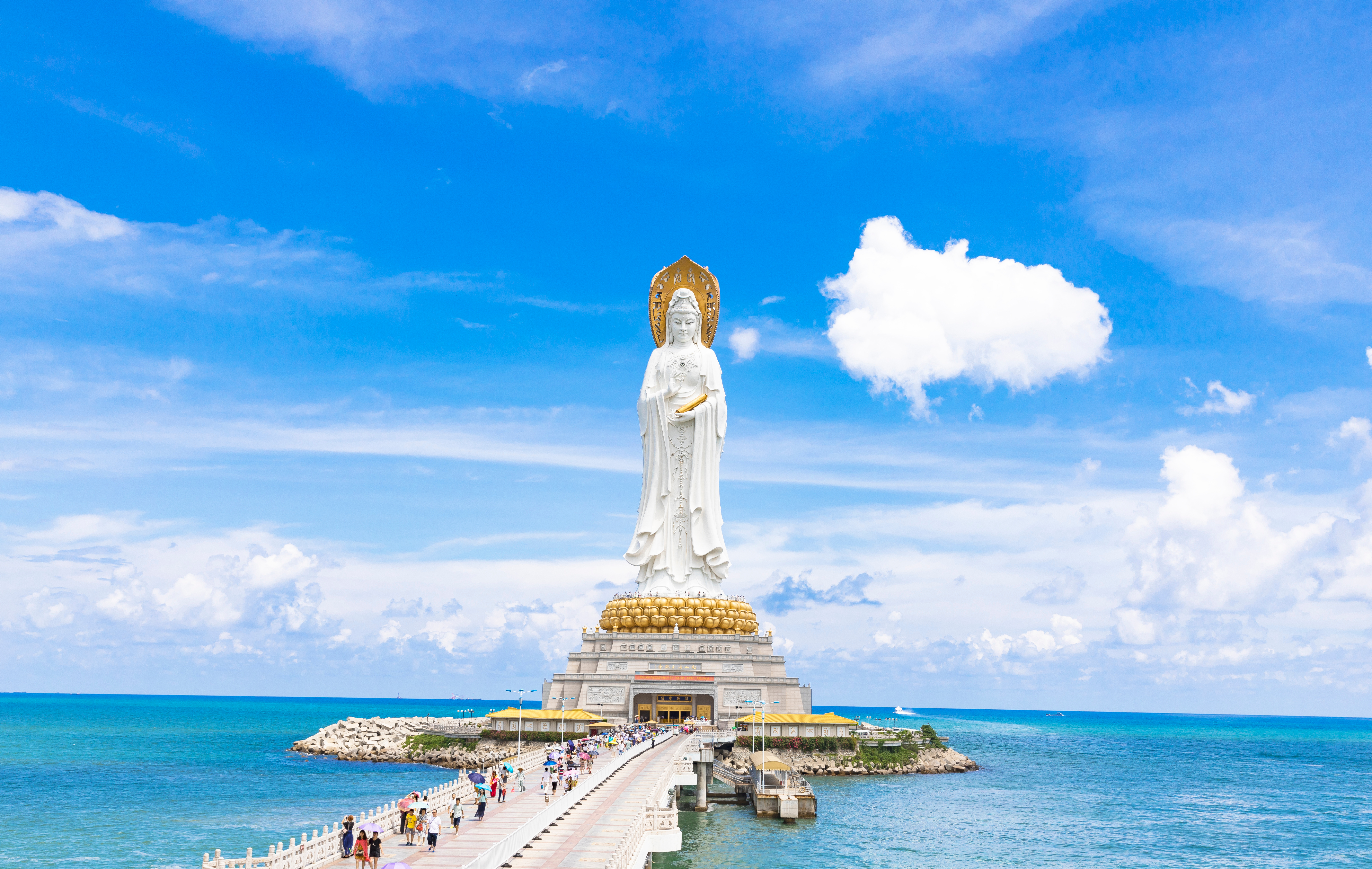 cover-image