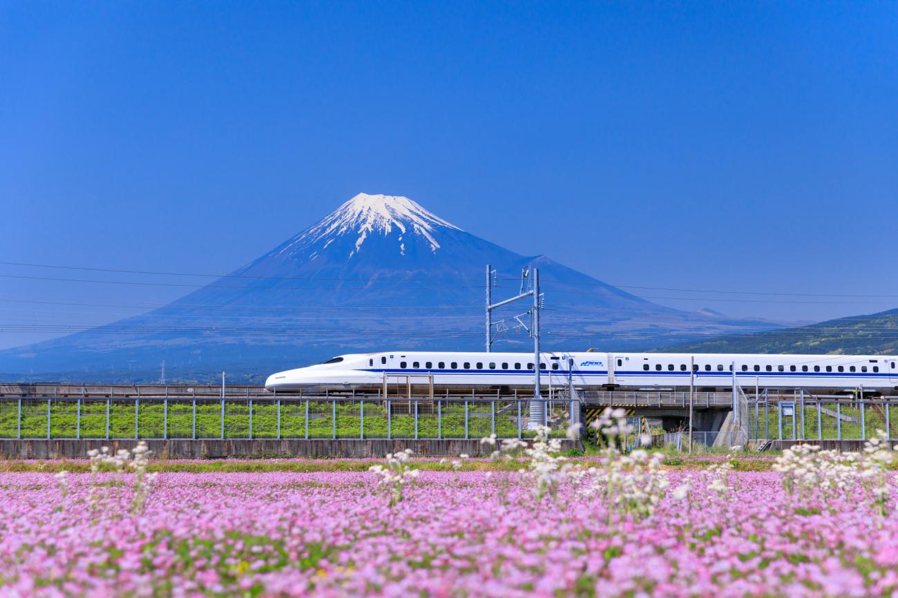9H/8H6M Osaka + Kyoto + Mt. Fuji + Tokyo