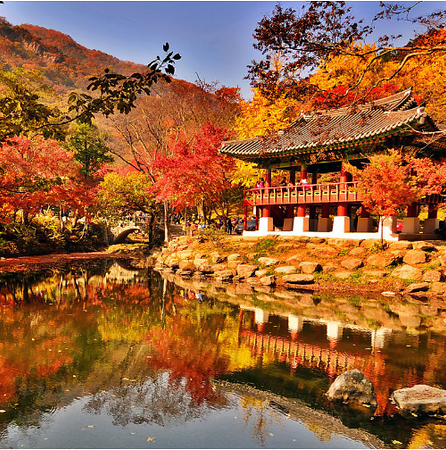 7D4N AUTUMN KOREA (SEOUL/JEOLLABUK-DO/JEONJU)