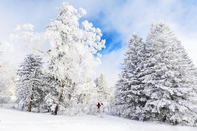 8D7N HARBIN/SNOW VILLAGE/LAOLIKE LAKE/JILIN/YANJI/DUNHUA/BEIJING