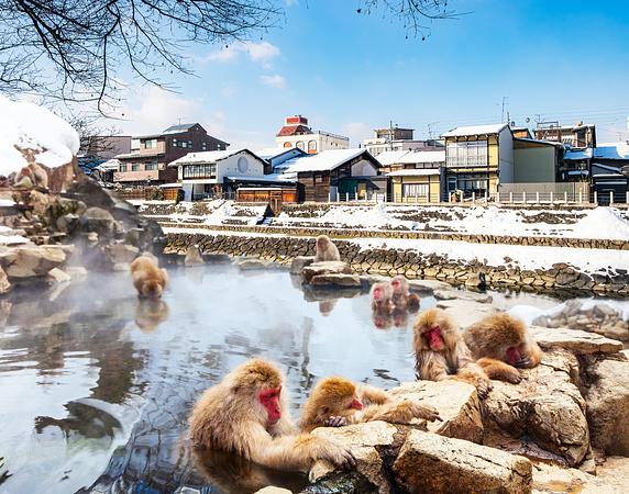 7D6N TOKYO / NAGANO / TAKAYAMA / SHIRAKAWA-GO / KYOTO / OSAKA