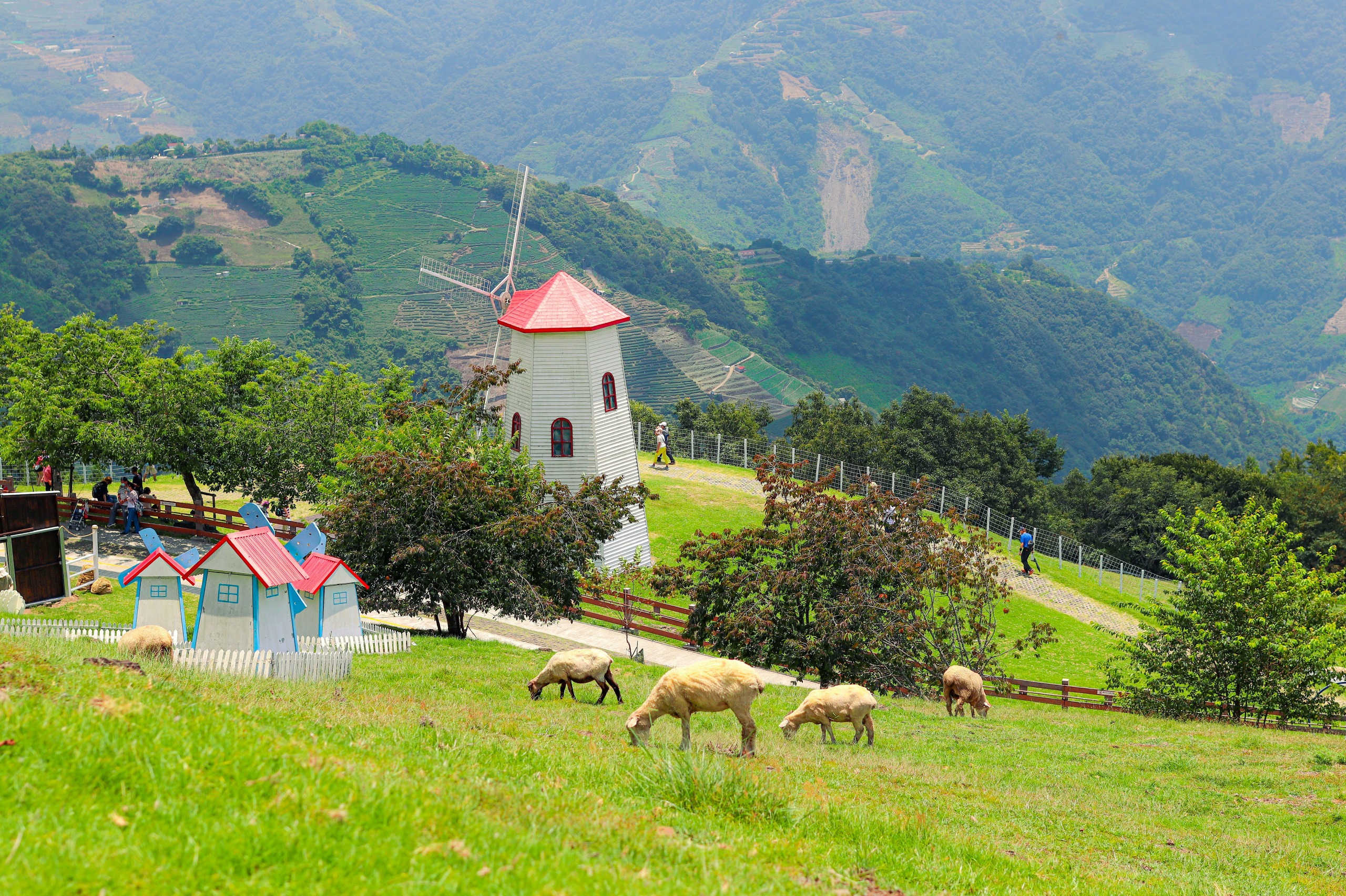 5D4N STEP INTO THE PICTURE-PERFECT HEART OF CENTRAL TAIWAN (TAIPEI/TAICHUNG/QINGJING)
