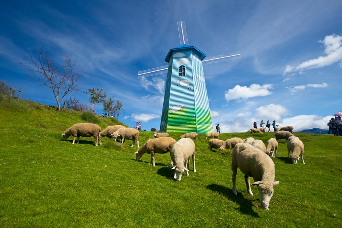 8D6N TAIPEI/ MIAOLI/ NANTOU/ TAICHUNG/ YILAN (QINGJING FARM+FREE & EASY)