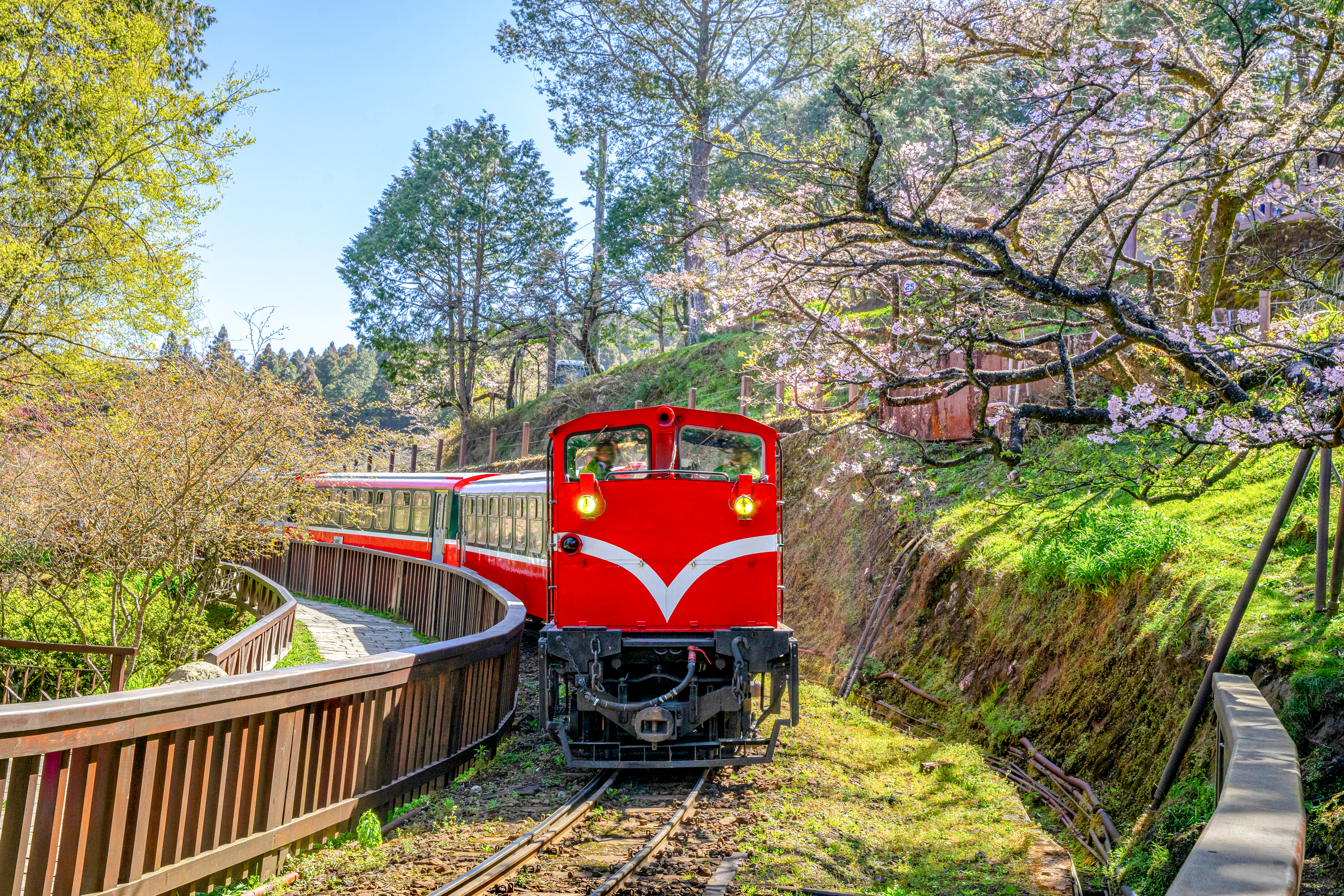 5D4N DISCOVER TAIWAN, EMBRACE THE ROMANCE OF THE MOUNTAINS (TAIPEI / TAICHUNG / JIAYI)