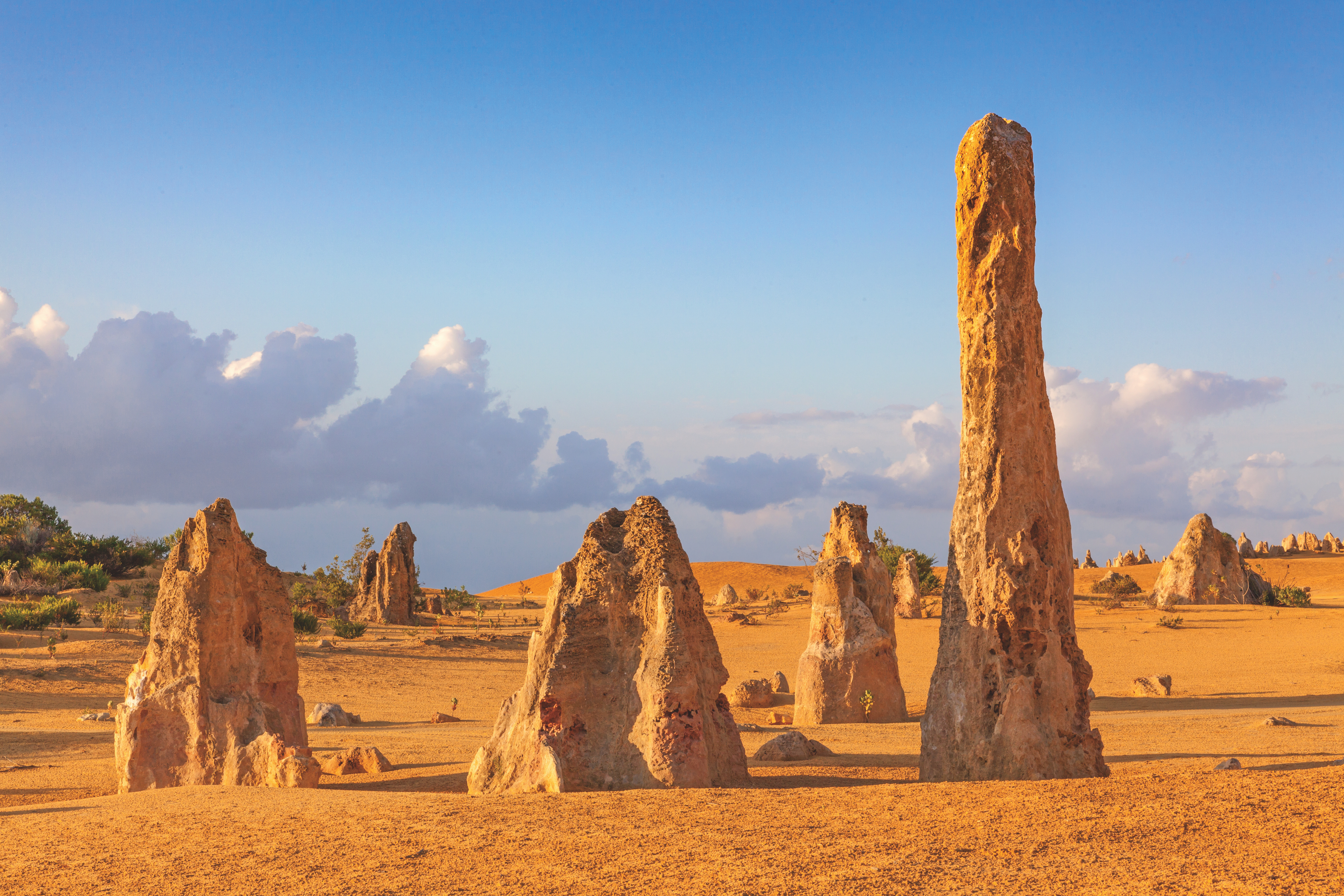 cover-image