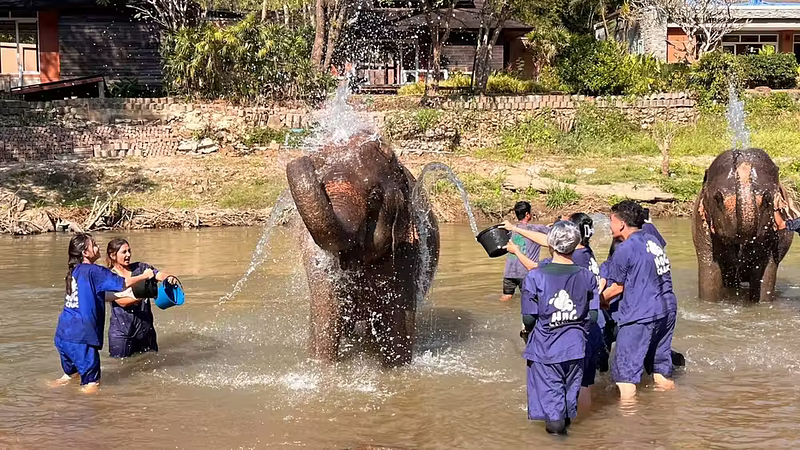 5D4N CHIANGMAI / CHIANGRAI TOUR