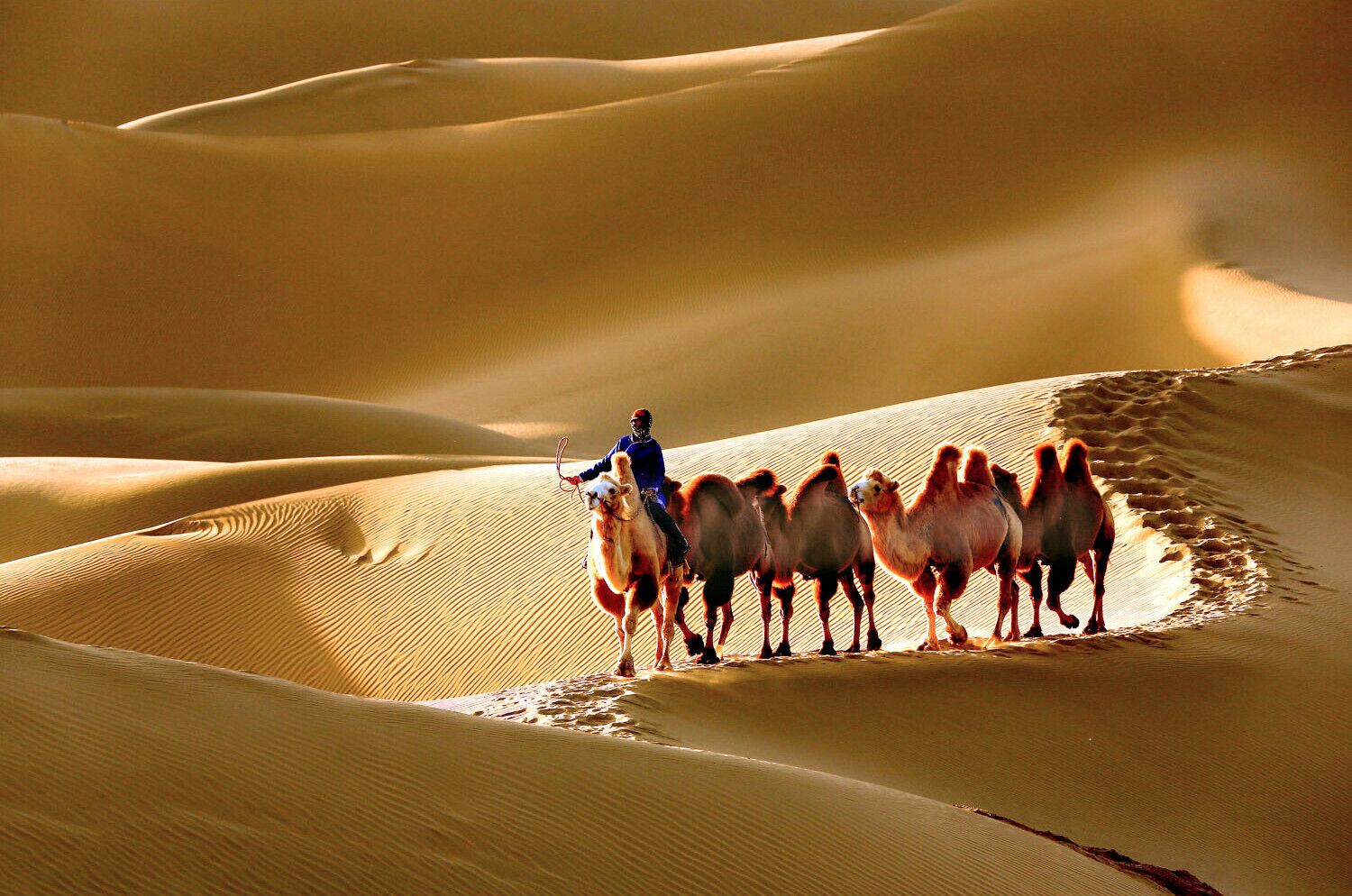 9H7M Inner Mongolia + Ningxia - Jantung Dunia