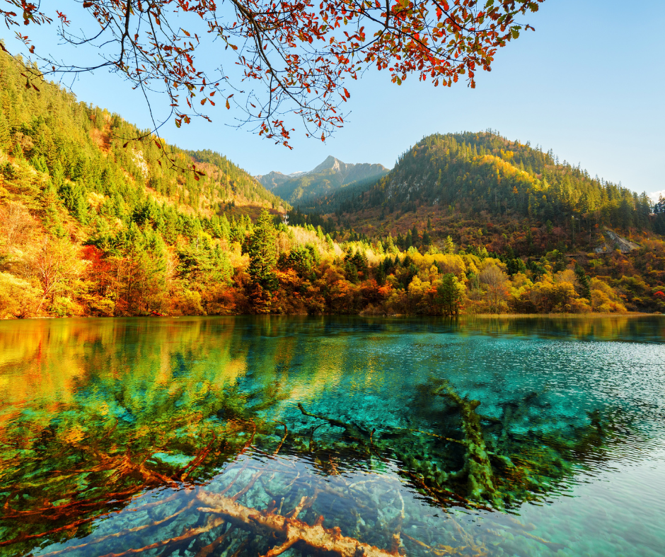 7D5N JIUZHAIGOU / CHENGDU / DUJIANGYAN (DIRECT FLIGHT TO CHENGDU)