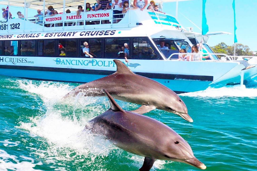 7D4N PERTH+ PINNACLES (SUNSET & STARGAZING)