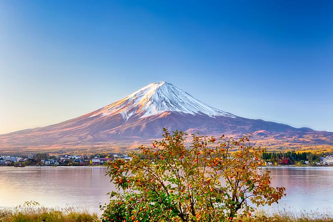 6D4N TOKYO / MOUNT FUJI / JAPANESE ONSEN + FREE & EASY