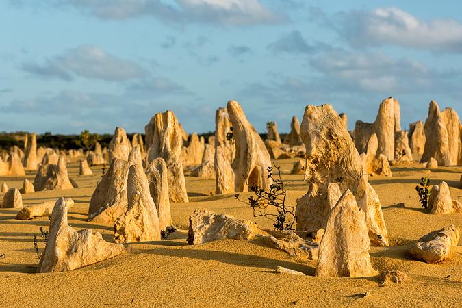 6D3N PERTH + 1 DAY FREE & EASY (SWAN VALLEY / FREMANTLE / PINNACLE)