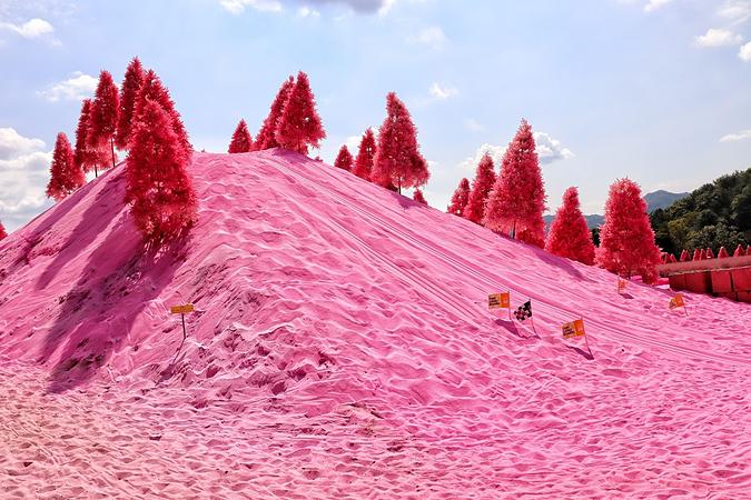 6D4N SEOUL/ POCHEON/ NAMI ISLAND (POCHEON HERB ISLAND + MAKGEOLLI DIY EXPERIENCE)