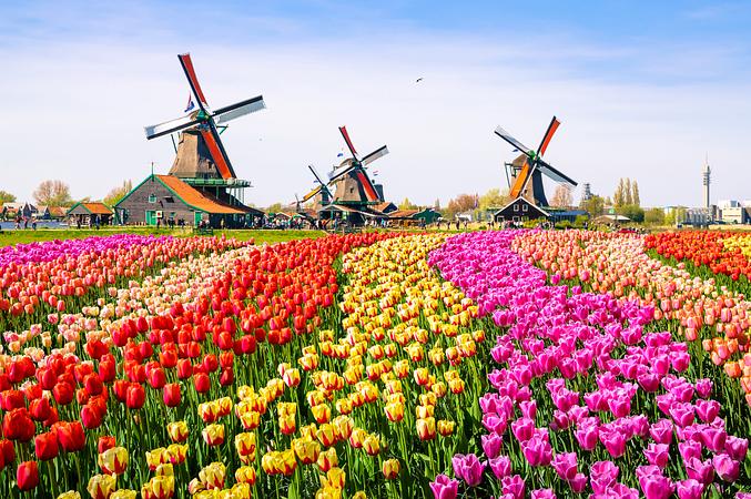 9D6N LET\'S GO! CENTRAL EUROPE (SWITZERLAND / GERMANY / NETHERLANDS / FRANCE)