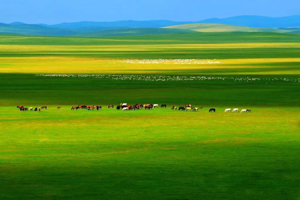 13D11N MOHE/HULUNBUIR GLASSLAND/HARBIN/QIQIHAR/MANZHOULI/HAILAR/GENHE/ERGUN