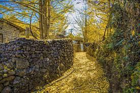 9D7N MYSTICAL WESTERN YUNNAN · TENGCHONG GOLDEN GINKGO  KUNMING/CHUXIONG/BAOSHAN/TENGCHONG/DALI