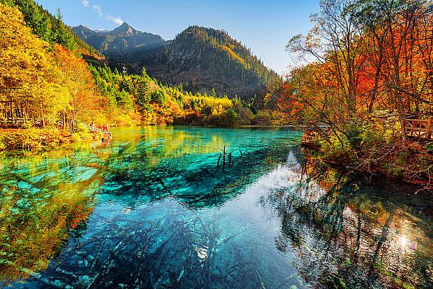 8D6N JIUZHAIGOU / CHENGDU / CHONGQING / DAZU ROCK CARVINGS