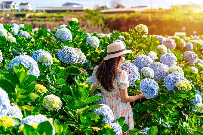 5D4N NHA TRANG / DALAT TOUR + 1 DAY FREE & EASY