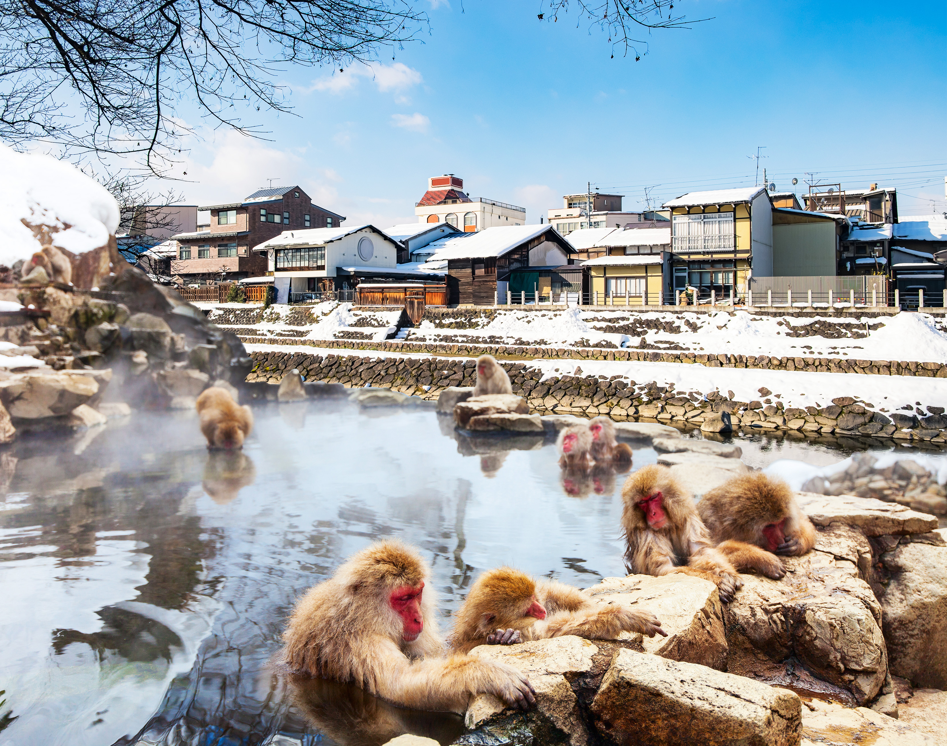 7D6N TOKYO / NAGANO / TAKAYAMA / SHIRAKAWA-GO / KYOTO / OSAKA + 1 ONE DAY FREE & EASY