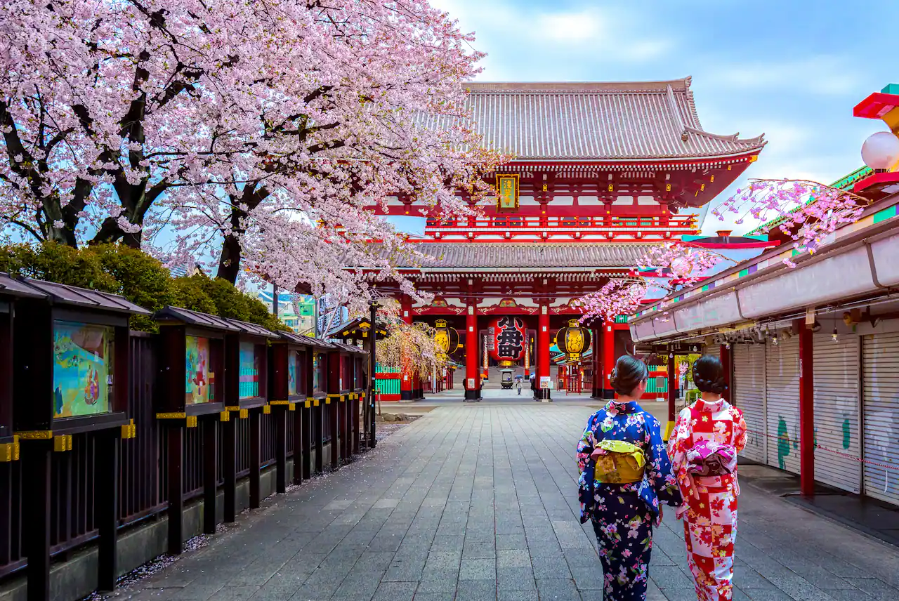 6H4M Tokyo + Mt. Fuji