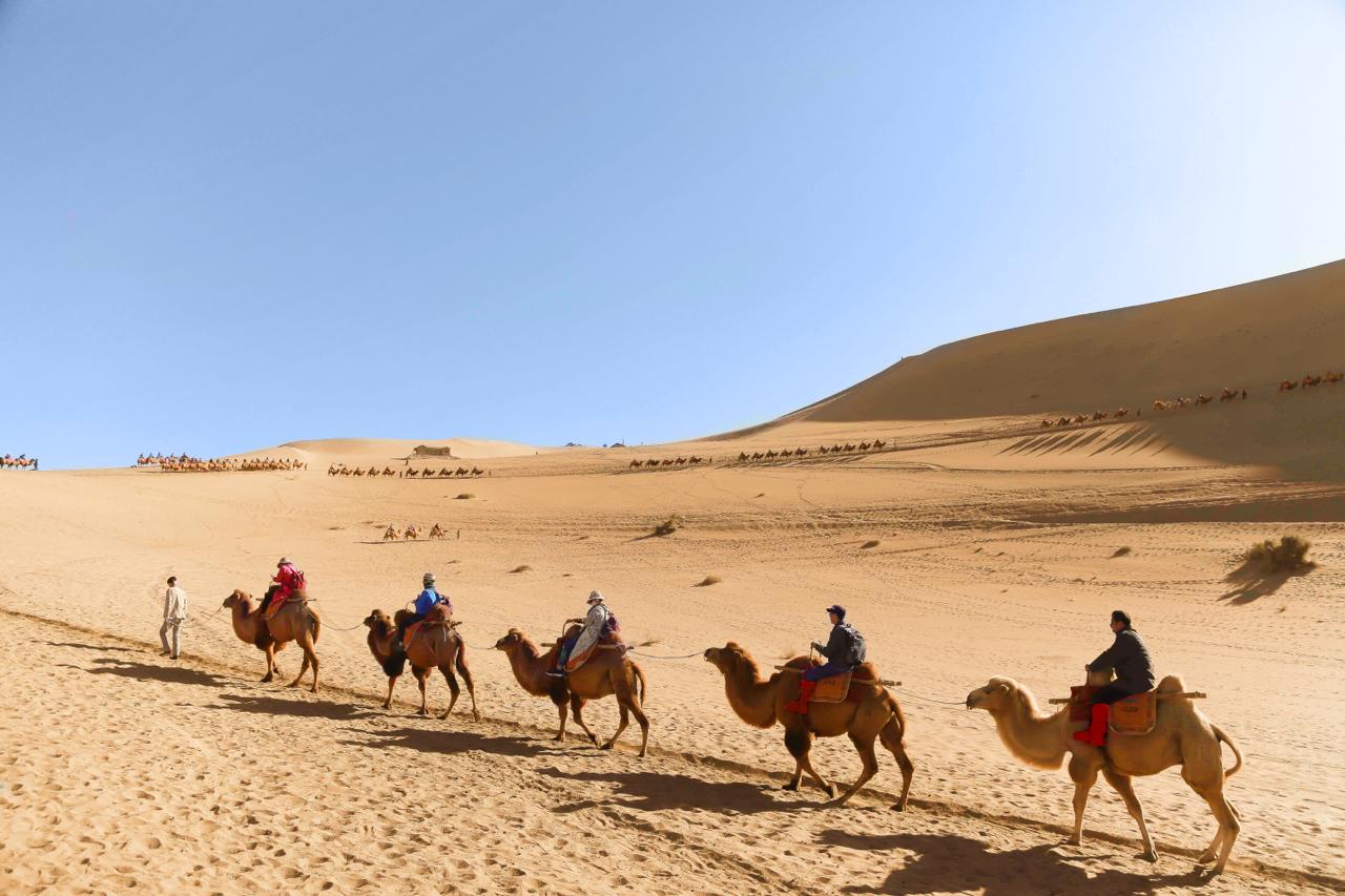 9D7N ORDOS GRASSLAND / HOHHOT / WULANHADA VOLCANO / WHISTLING DUNE BAY