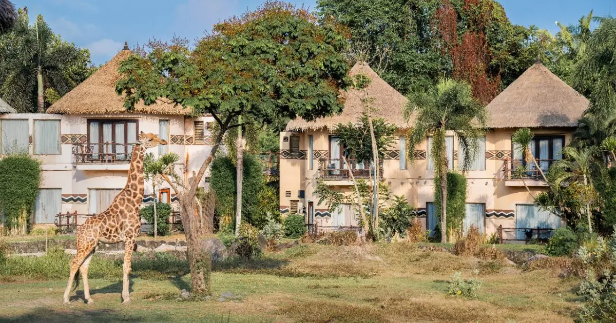 cover-image