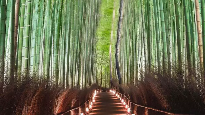 7D5N OSAKA/NARA/KYOTO+2 DAYS FREE & EASY