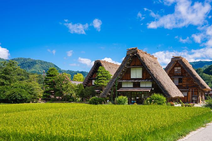 7D5N TOKYO / HAKONE - MOUNT FUJI / SHIRAKAWA-GO / KYOTO / OSAKA