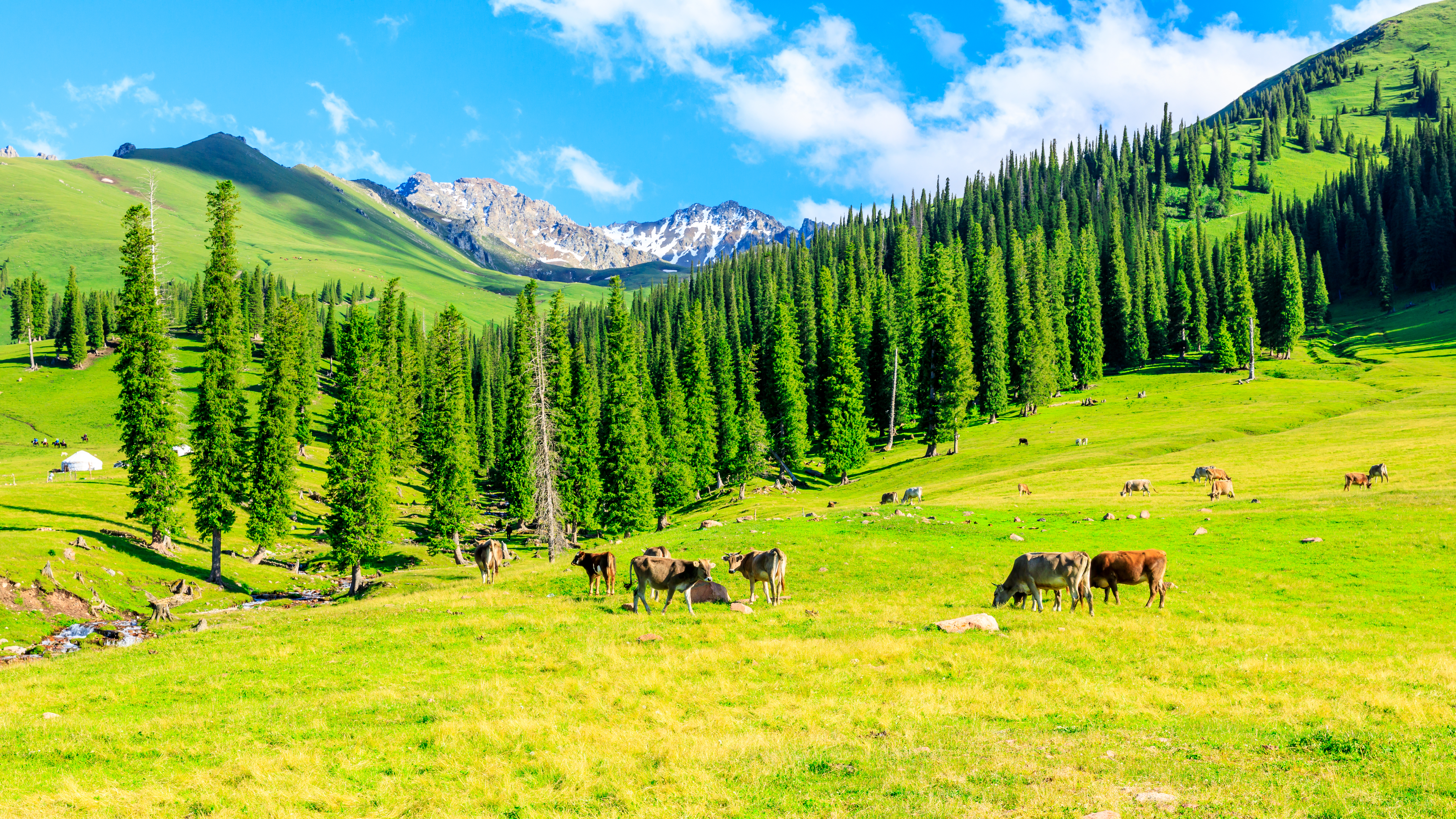 12D10N DUNHUANG+NORTHERN XINJIANG URUMQI/BURQIN/HEMU/KANAS/KARAMAY/SAYRAM LAKE/NALATI/YINING                                       