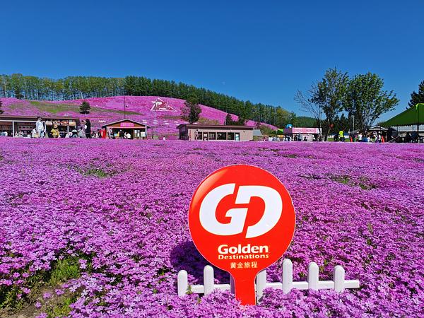 7D5N HOKKAIDO の BLOSSOM SEASON (SHIBAZAKURA / TULIP / RAPE FLOWER)
