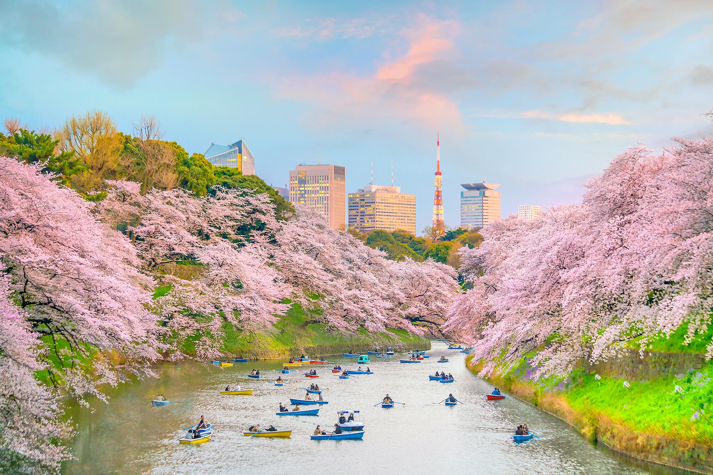 7D5N TOKYO / OSAKA / KYOTO + 1 DAY FREE & EASY