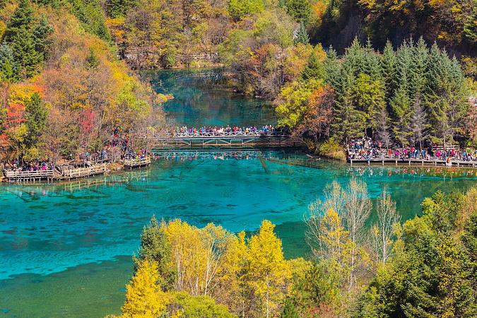 6D5N CHENGDU/JIUZHAIGOU / HUANGLONG / DUJIANGYAN / GIANT PANDA BASE (ONE WAY HIGHSPEED TRAIN)